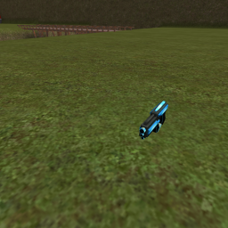 Capture The flag
