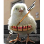 The Holy Chicken Tribe