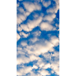 Cloud_club