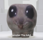 Hamster The AAA
