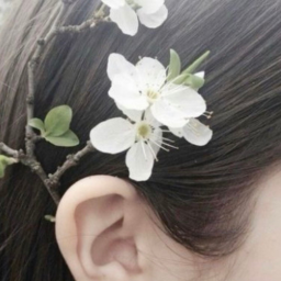 ʚɞ