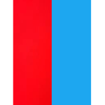 The color group_