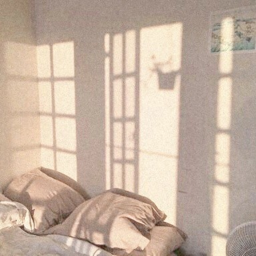 ✧