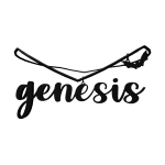 ‧˚ʚ genesis 1.0 ɞ˚‧