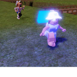 Capture the Flag