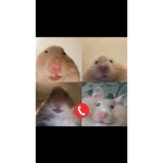 Welcome to the group- 0-0