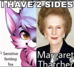 cowtasty
