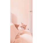 Pixle and clean girl