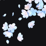 我enlightenment