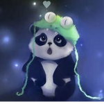 TeamPandaPL