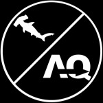 Hammerhead CFrame V2 Public Demo