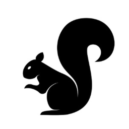 squirrel republic meeting and announcements