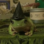 frogs army :D