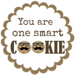 The SMART CHOCOLATE CHIP COOKIES