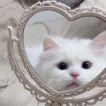 -ˋˏ mochi