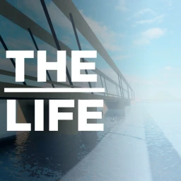 The Life [BetaTest] icon