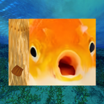 Fishys Cult