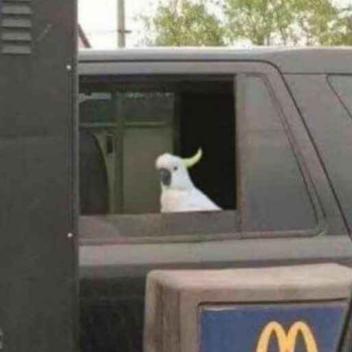 Can I get a uhhhhhh