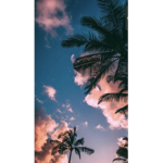 The aesthetic wonders