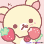 Bear animals studio