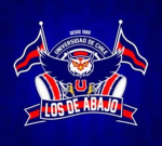 U de chile Grupo oficial