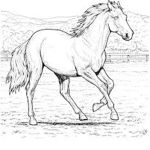 +?+ rose wind horse group +?+