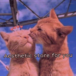 Aesthetic store for you