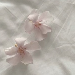 ♡