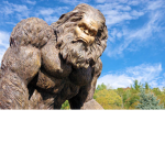 bigfoot wariors