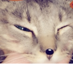 Ka$h G0tHs 0n1y