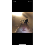 Hamster_cult_for_life