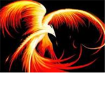 Pheonix365's Group