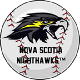 NightHawks Stadium