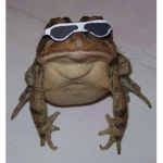 Basement Toad Clothing