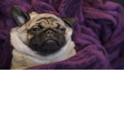 epic house game