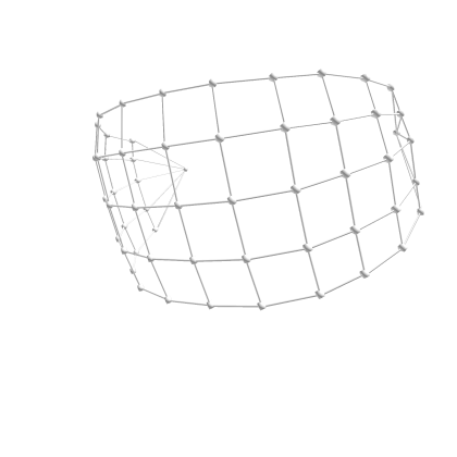 Veil Roblox item