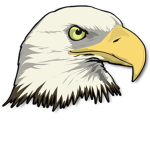 eagle of shadows