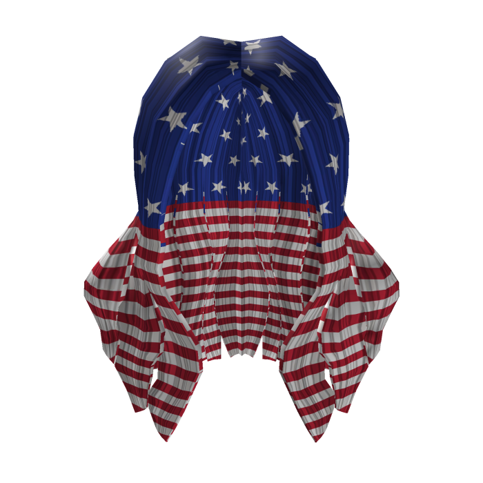 American Flag Hair