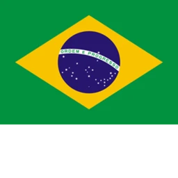 Brazil icon