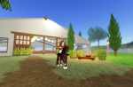 Meadow Vale Riding Club