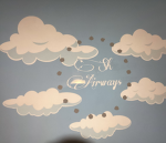 Sky haven airways