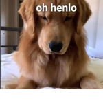 Master roblox scripting