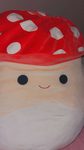 COCO UND DIE SMASHEN POTATOS