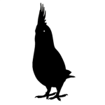 Cockatiel ®