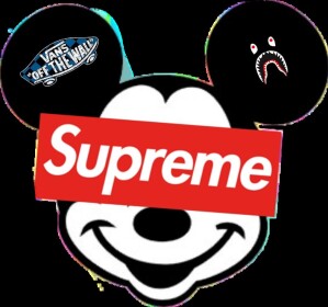Supreme Clothing Store!