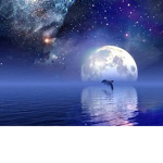 Moonlights!!
