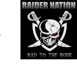 THE ROBLOX COMMUNITY OF RAIDERS