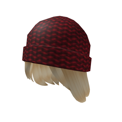 Skater Boy Hair Roblox item