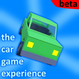The car expierence