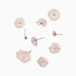 ❀